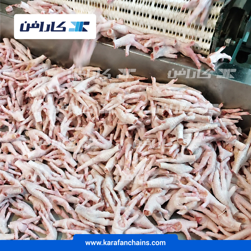 تسمه مدولار حرکت مستقیم گام 2 اینچ ( پنجه زن پای مرغ )